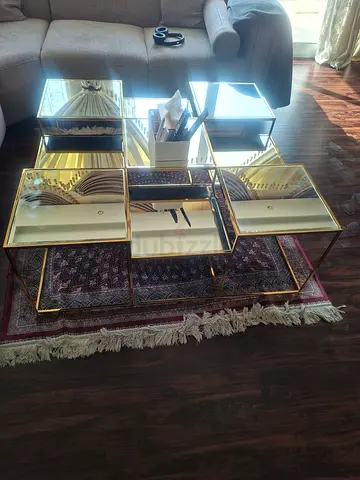 Elegant Center/Coffee Table