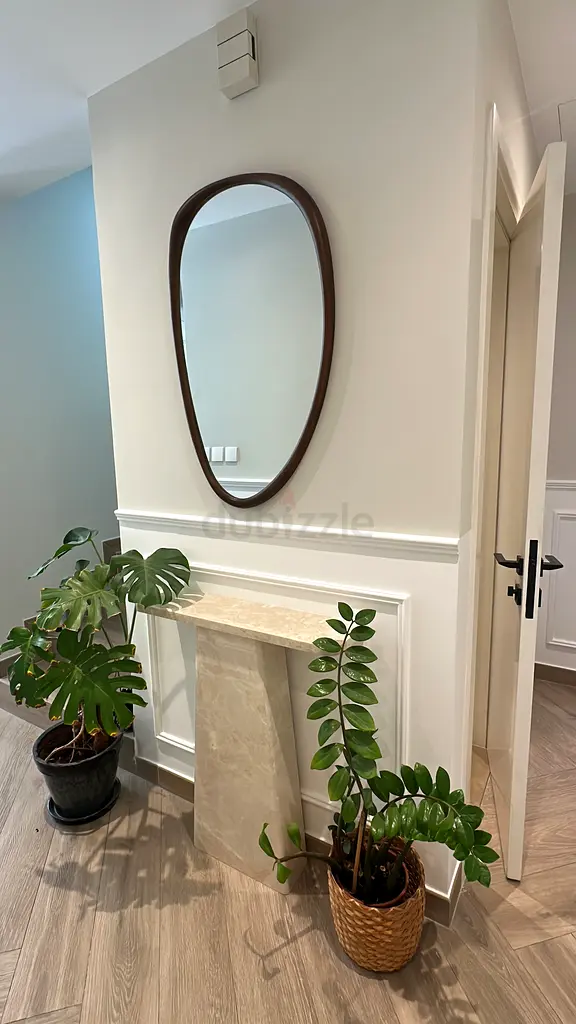 DPV_View_Image_3