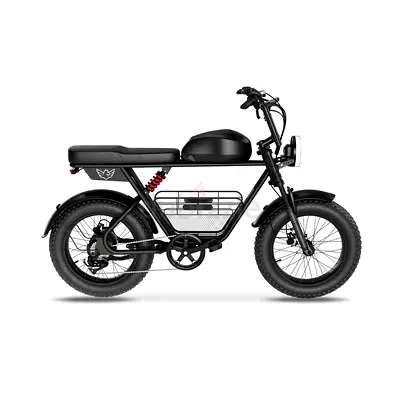 Electric Scooter Wind Horse Electric Scooter 1000W 50KM Range 110KM Speed, D5