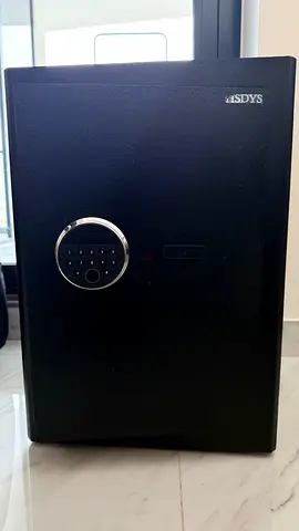 HSDYS Biometric Fingerprint Safe-3.0 - Security Safes with Digital Keypad, Steel Lock Box