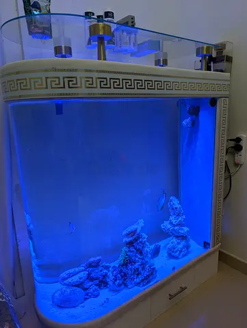 Marine Saltwater Aquarium