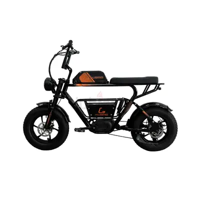 Electric Scooter. Kugoo T31 Electric Scooter