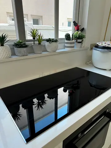 Bosch induction cooker