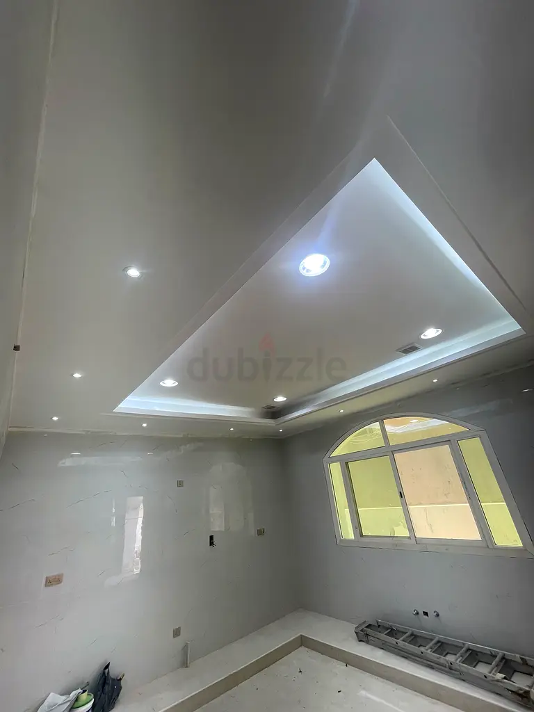 DPV_View_Image_2