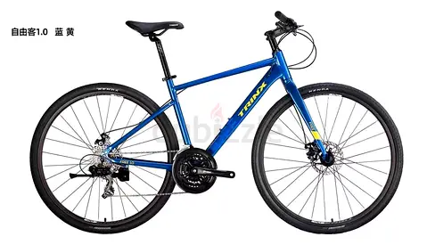 TRINX:1.0 Hybrid Bike
