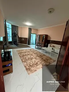 Furnishings cost 5000 over 2 months - 2 Spacious BR - Large Hall - Master Maid Room - 2 Balcony - Lu