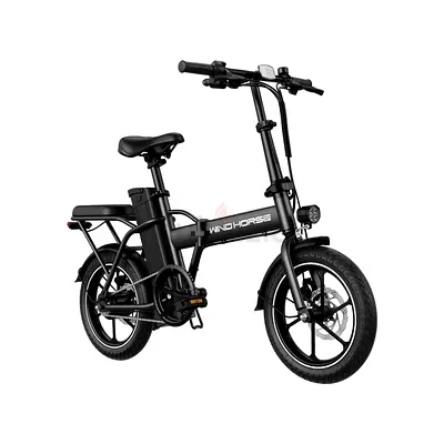 Electric Scooter Wind Horse Electric Scooter 350W 30KM Range 35KM Speed, W2 A