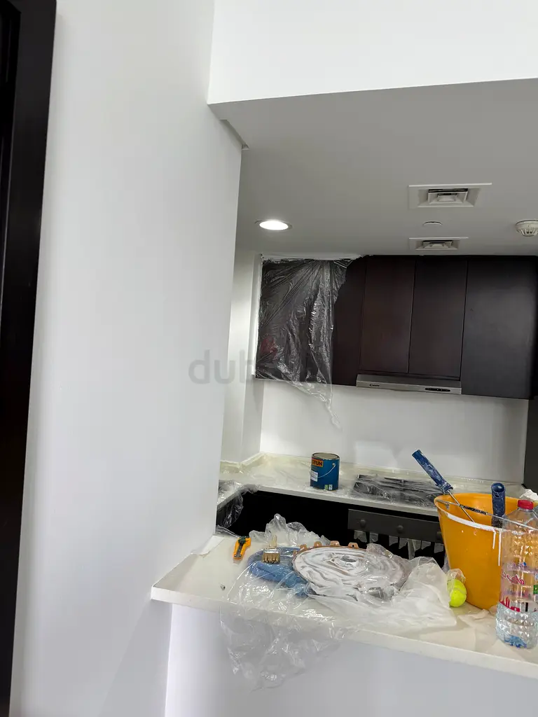 DPV_View_Image_4