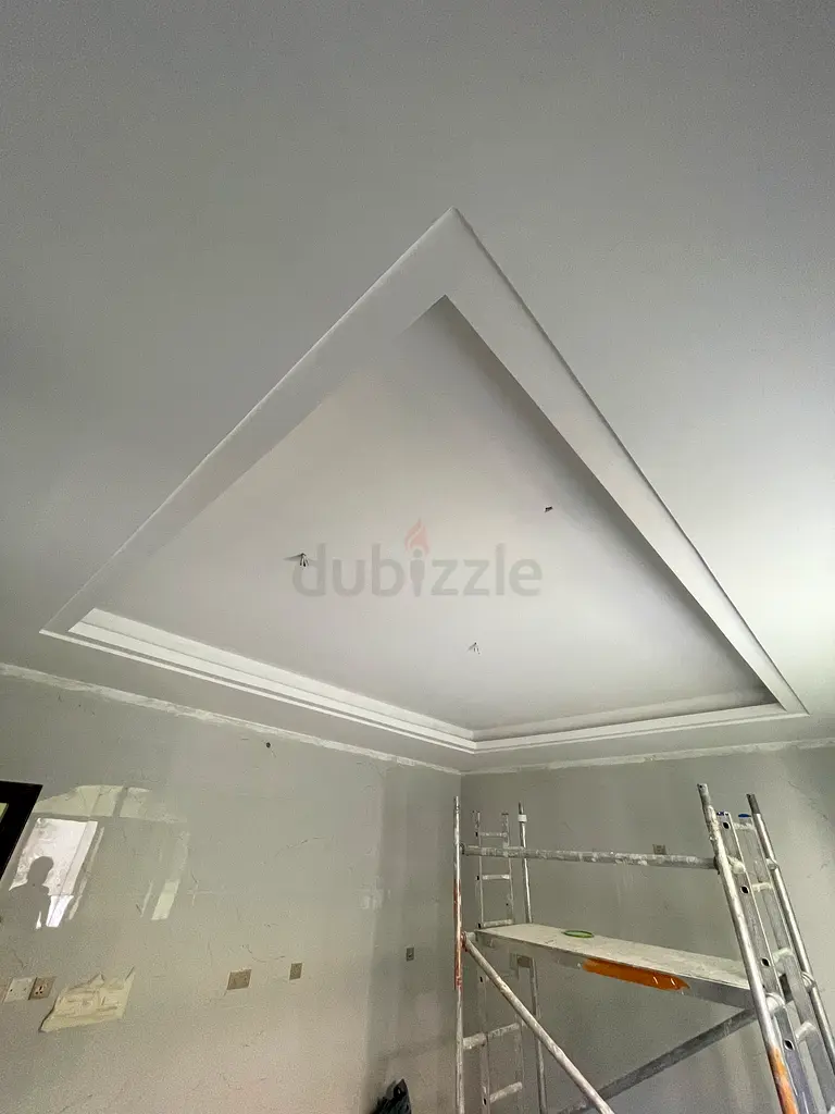 DPV_View_Image_4