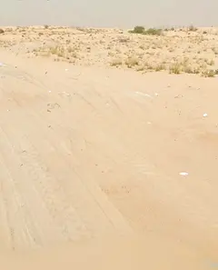 For Sale Two Contiguous Lands in Al-Hoshi Area