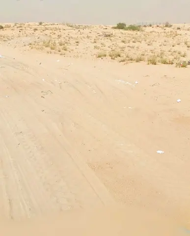 للبيع ارضين متلاصقتين في منطقة الحوشي