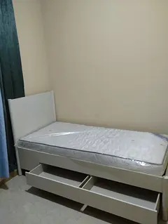 Furnished Room Attach Bath Include All Single Executive Bachelor Al Rawda 1 Ajman