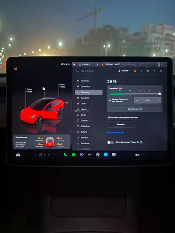 2023 Tesla MODEL 3 照片 7