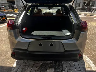 2025 Lexus UX-SERIES 照片 11