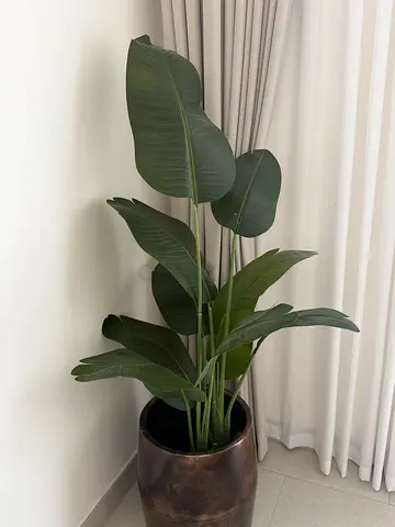 Tall fake indoor potted bird of paradise (Strelitzia) plant an bronze pot