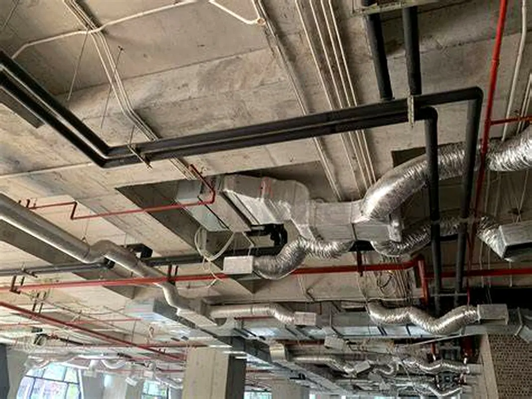 DPV_View_Image_2