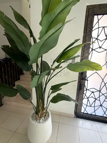 Tall artificial bird of paradise plant in white pot