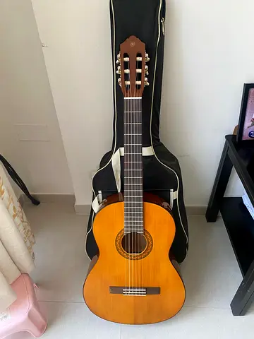 Guitar