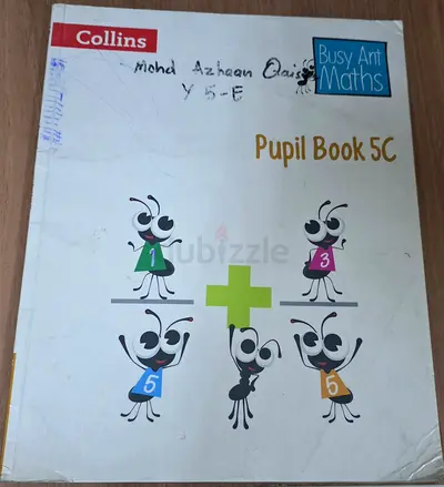 Collins Busy Ant Maths Pupil Book 5C
