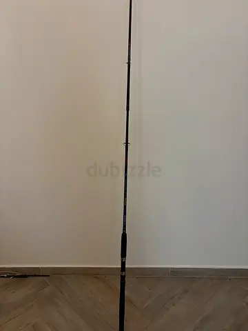 Fishing rod