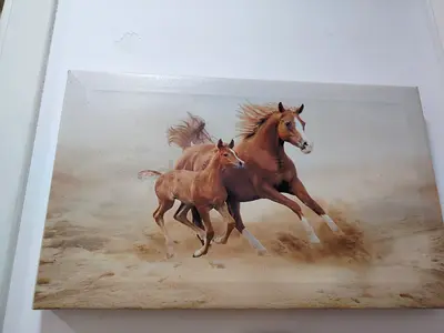 MOVING OUT SALE: Framed Wall Art: Galloping Horses Canvas Print