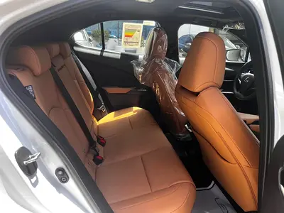 2025 Lexus UX-SERIES 照片 16