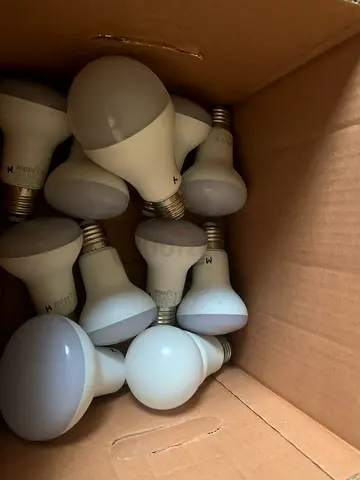 Light Bulbs