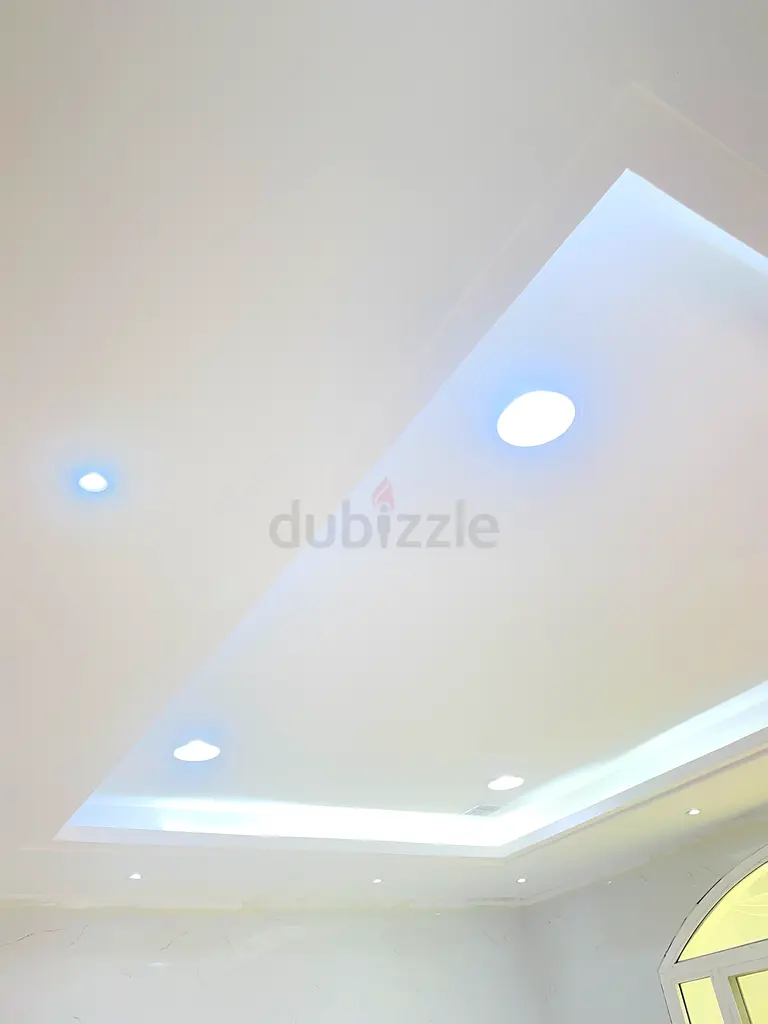 DPV_View_Image_0