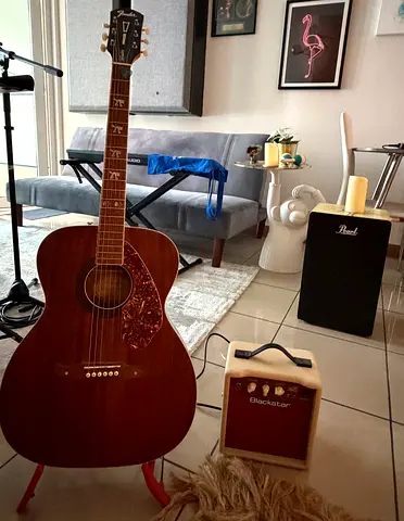 Electric Acoustic Guitar