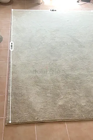Carpet