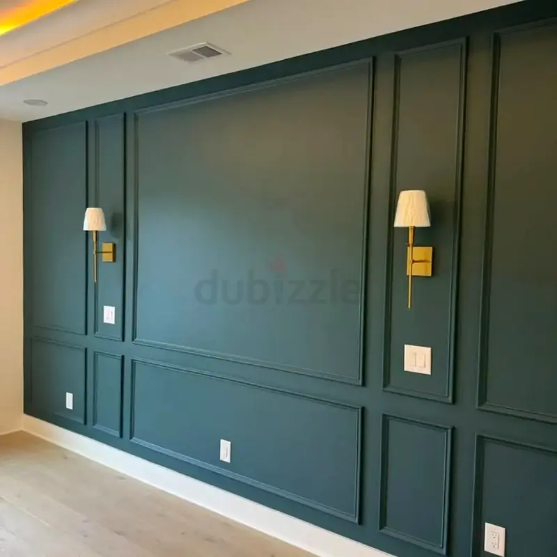 DPV_View_Image_1