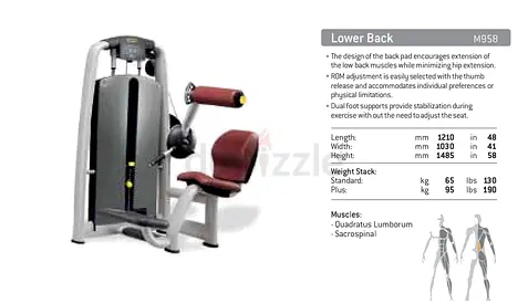 Technogym Selection Lower Back (M958) – Commercial Gym Machine