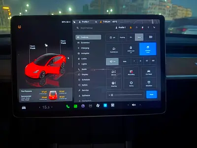 2023 Tesla MODEL 3 照片 8