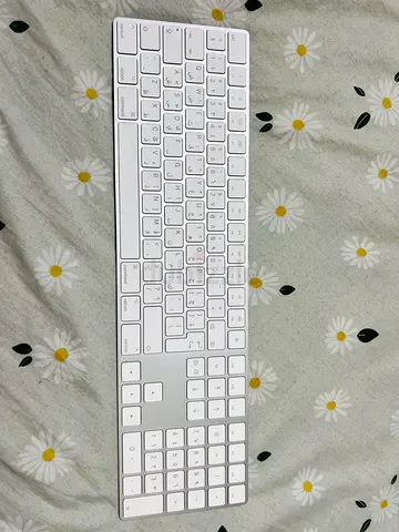 Magic Keyboard with numeric keys and Arabic