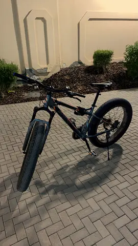 MOGOO JOGGERS FAT WHEEL BICYCLE Check description for further info