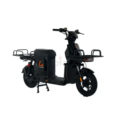 Electric Scooter. Kugoo T3 Electric Scooter