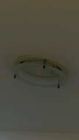 Ceiling circular fluorescent light fixture - working condition