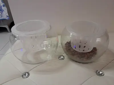 Self watering plant pot with removable plastic inserts - good condition