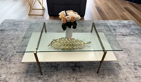 West Elm mid century art display coffee table