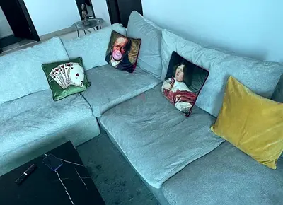 Selling high-quality Pan Home pianca feather 🪶 filled Modular Living room Sofa
