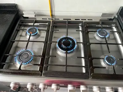 Bosch 5-Burner Stainless Steel Gas Hob with electric burners and oven