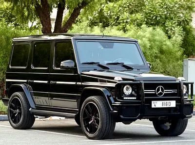 2016 Mercedes-BENZ G-CLASS 缩略图 3
