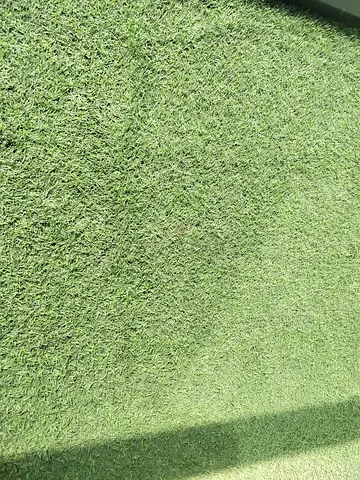 Artificial grass