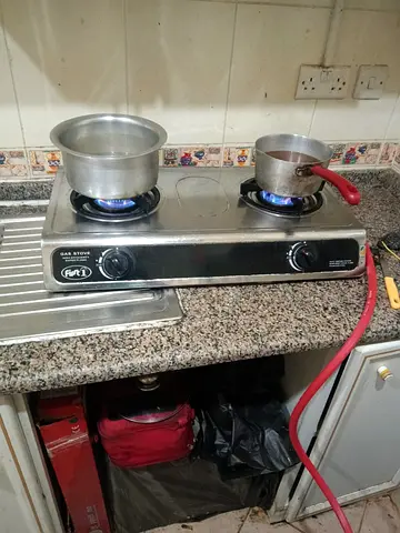 Portable 2-Burner Gas Stove - Stainless Steel