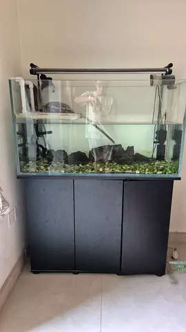 Aquarium 100cm x 40cm x 50 cm