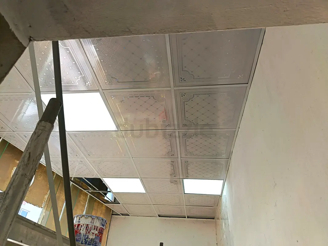DPV_View_Image_1