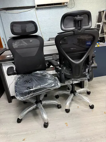 Ergonomic Mesh Office Chair with Headrest (Like New, 1 Unit)