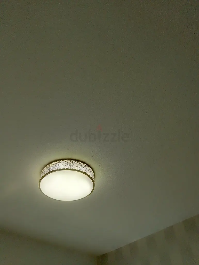 DPV_View_Image_7