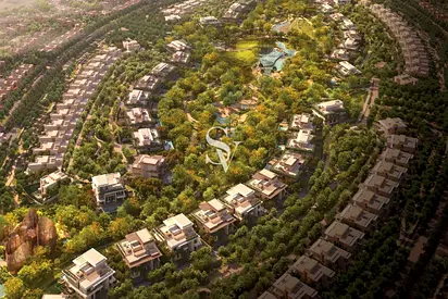 DLD Waiver | Large Size | Forrest Living