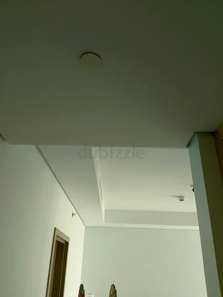 DPV_View_Image_4